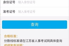 江苏公务员成绩查询,“2025年江苏省公务员考试成绩查询指南及合格分数线解析”