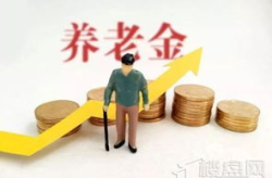 基础养老金,构建养老保障体系的基石