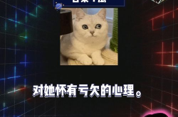 综艺娱乐八卦吃瓜,揭秘幕后故事与明星幕后生活