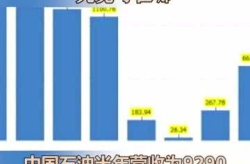 中石油 亏损,多重因素叠加，行业巨头的挑战与转型之路”