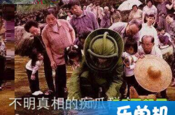 娱乐吃瓜群众2,娱乐围观文化的兴起与反思