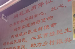 中央一号文件要点速读,聚焦乡村振兴，强化农业强国建设