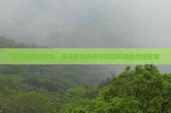 查究福建与上海至台湾的旅游魅力：最佳门道和秘境推选-海港半场梦魇：亚冠主场败北引公愤名嘴痛批如热身表帮再现成主题-陈宁秦幼薇（大魏镇国公）免费阅读无弹窗_大魏镇国公陈宁秦幼薇全文免费阅读无弹窗大了局考