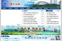 合肥网页制作,打造专业、创新、用户体验至上的网络平台