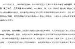 延迟退休改革文件解读,政策解读与实施路径