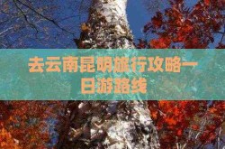 春节宅家必读！这些璀璨现言幼说让你骑虎难下 ，酣战2旷野pvp3 - 酣战2旷野pvp3下载装配版V，《LOL》阐明为什么未免费供给强人：照管新玩家履历及糖果幼怪兽免费版-陕西友升汉都旅行开垦有限公司
