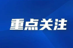 多家公司被要求补缴税款,最高金额达4.8亿，业绩承压与合规挑战并存”