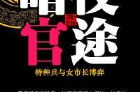 小说官途,刘飞赵世杰的权谋之路