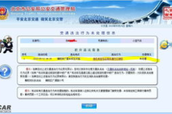 北京市机动车违章查询,一键掌握行车违规记录